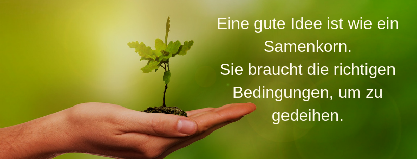 Header Idee Samenkorn Header Idee Samenkorn